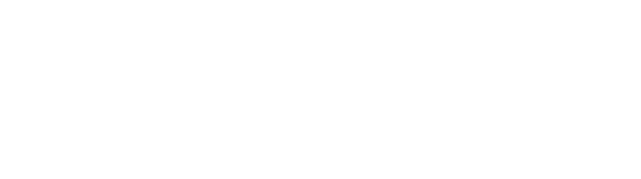 Impulse Dynamics