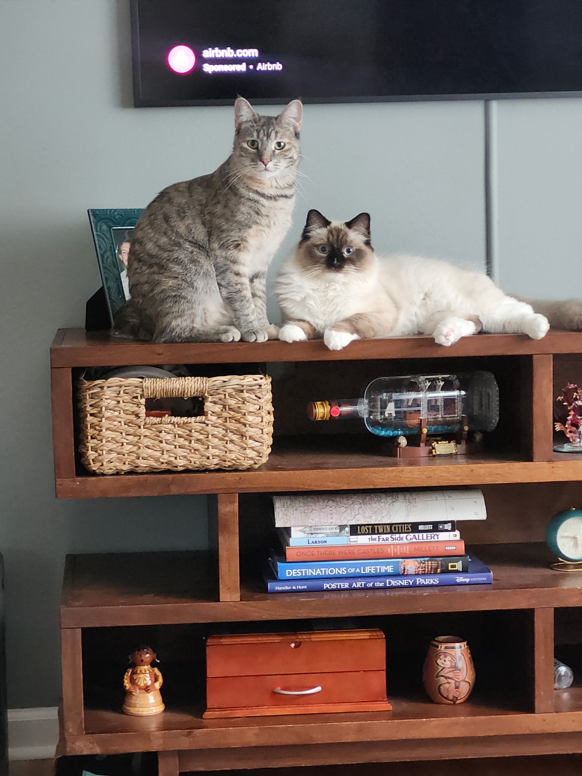 Gadget and Winnie, Jacey