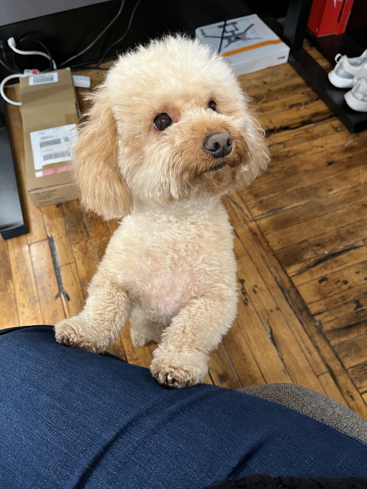Oliver, KG