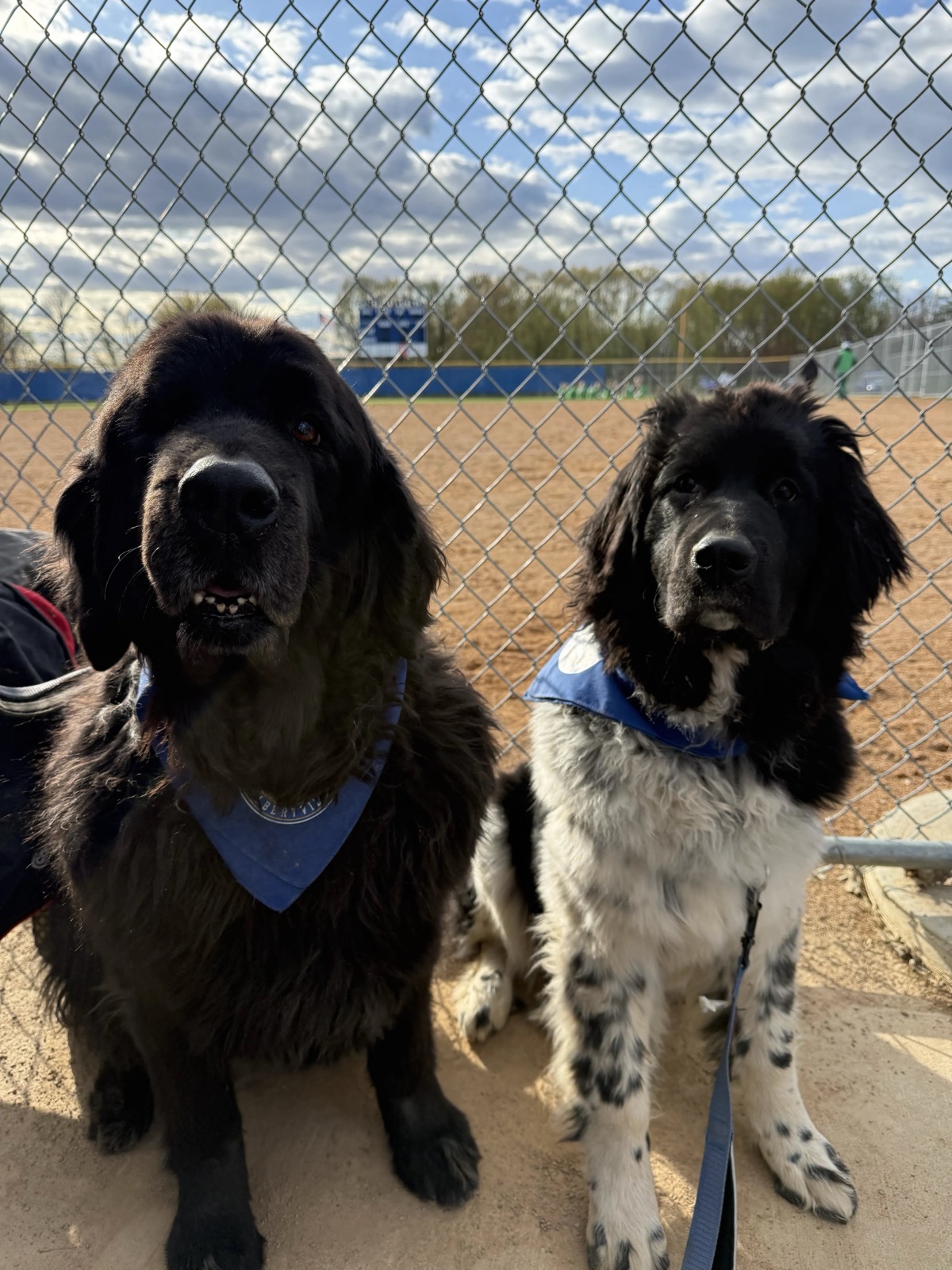 Rumer and Indie, Rech